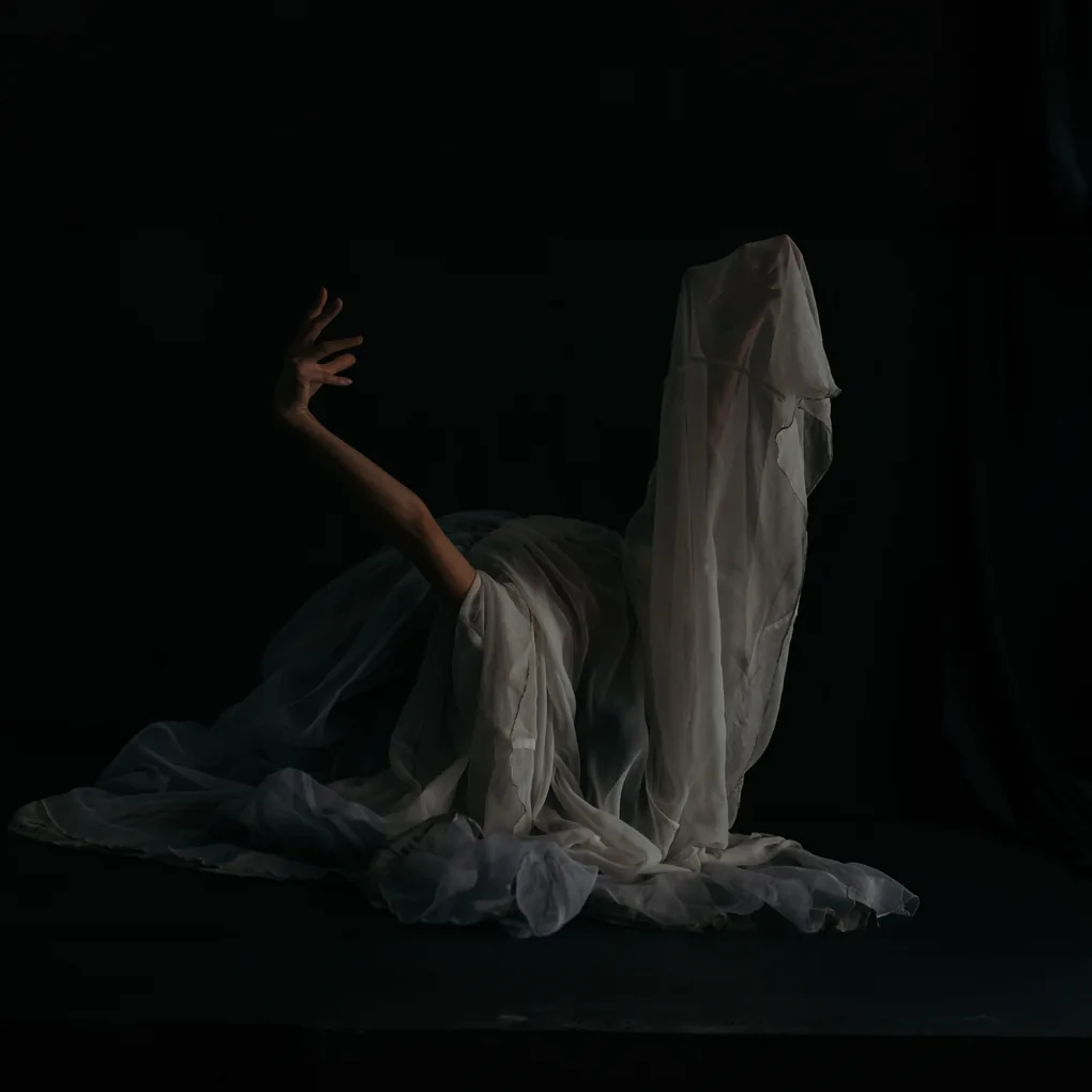 Swan Space: Media art interactive performance